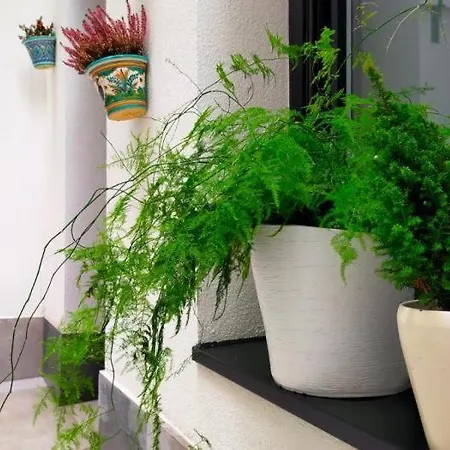 Oespede Riazor Apartment *